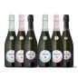 Berlucchi '61 Franciacorta Box [6 bot.]