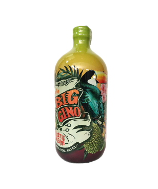 Big Gino Gin Exotic Dream 1 litro