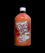 Big Gino Orange Passion 1 litro