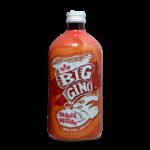 Big Gino Orange Passion 1 litro