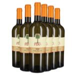 Box Zibibbo Terre Siciliane IGT Taif 2025 - Cantine Fina [6 bot]