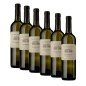 Chardonnay Lazio IGT 2023 - Casale del Giglio [Box 6 bottiglie]