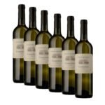 Chardonnay Lazio IGT 2023 - Casale del Giglio [Box 6 bottiglie]