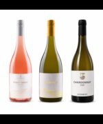 Chardonnay Selvaia Umbria IGT Bianco 2025 - Guerrini