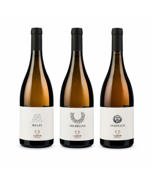 Enoteca Online dei Migliori Vini Italiani a Prezzi Scontati - Etilika