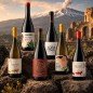 Etna "Outsider" Box Degustazione [6 bot]