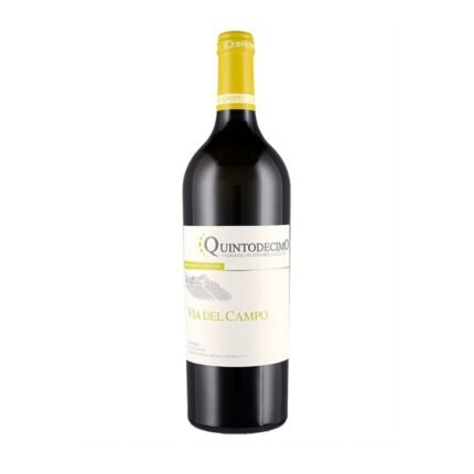 Falanghina Irpinia DOC Via del campo 2024 - Quintodecimo
