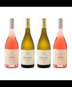 Falanghina Irpinia DOC Via del campo 2024 - Quintodecimo