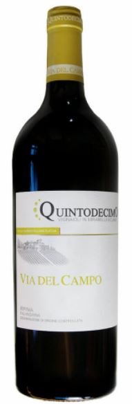 Falanghina Irpinia DOC Via del Campo 2024 Quintodecimo MAGNUM