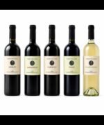 Frascati Superiore DOCG Poggio Verde 2024 - Principe Pallavicini
