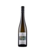 Gewurztraminer Alto Adige Valle Isarco DOC 2024 - Cantina Valle Isarco