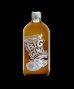 Gin Goa - London dry Gin 70 cl