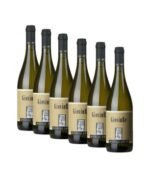 Giovin Re Viognier Toscana IGT 2022 - Michele Satta [Box 6 bottiglie]