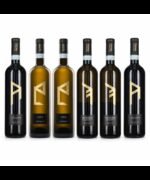 Greco di Tufo DOCG Giallo d'Arles 2024 - Quintodecimo