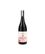 Grillo Sicilia DOC SurSur 2024 - Donnafugata
