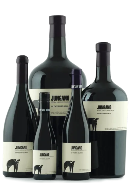 Jungano 2019 IGP Paestum Aglianico Jeroboam da 3 Litri