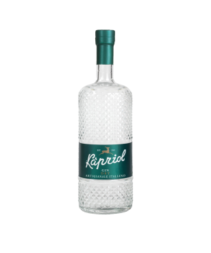 Kapriol Gin Dry 70 cl