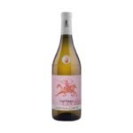 Nascetta Cecilia vino bianco Amphorae 2025 - Cascina Corte
