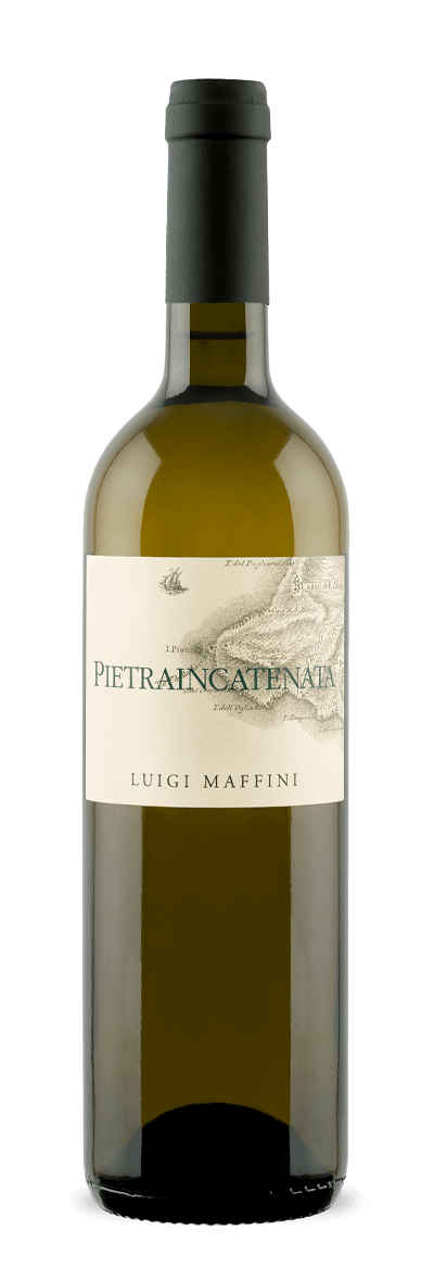 PIETRAINCATENATA 2024 Doc Cilento Fiano Bio Luigi Maffini