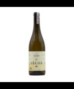 Pinot Grigio Alto Adige DOC 2023 - Castel Sallegg