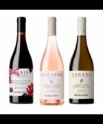 Primitivo Rosato Salento IGT Tramari 2024 - San Marzano