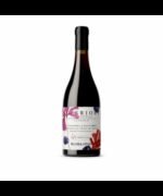 Prosecco Valdobbiadene Superiore DOCG Crede Brut Millesimato 2024 - Bisol