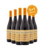 Prosecco Valdobbiadene Superiore DOCG Extra Dry Millesimato 2024 - Astoria