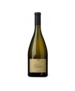 Riesling Mosel Dr. Fischer Trocken 2024 - Hofstatter