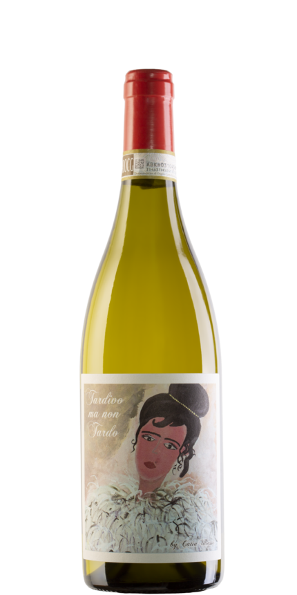 Verdicchio Castelli di Jesi DOCG Classico Riserva 2020 Tardivo ma non Tardo Santa Barbara Stefano Antonucci